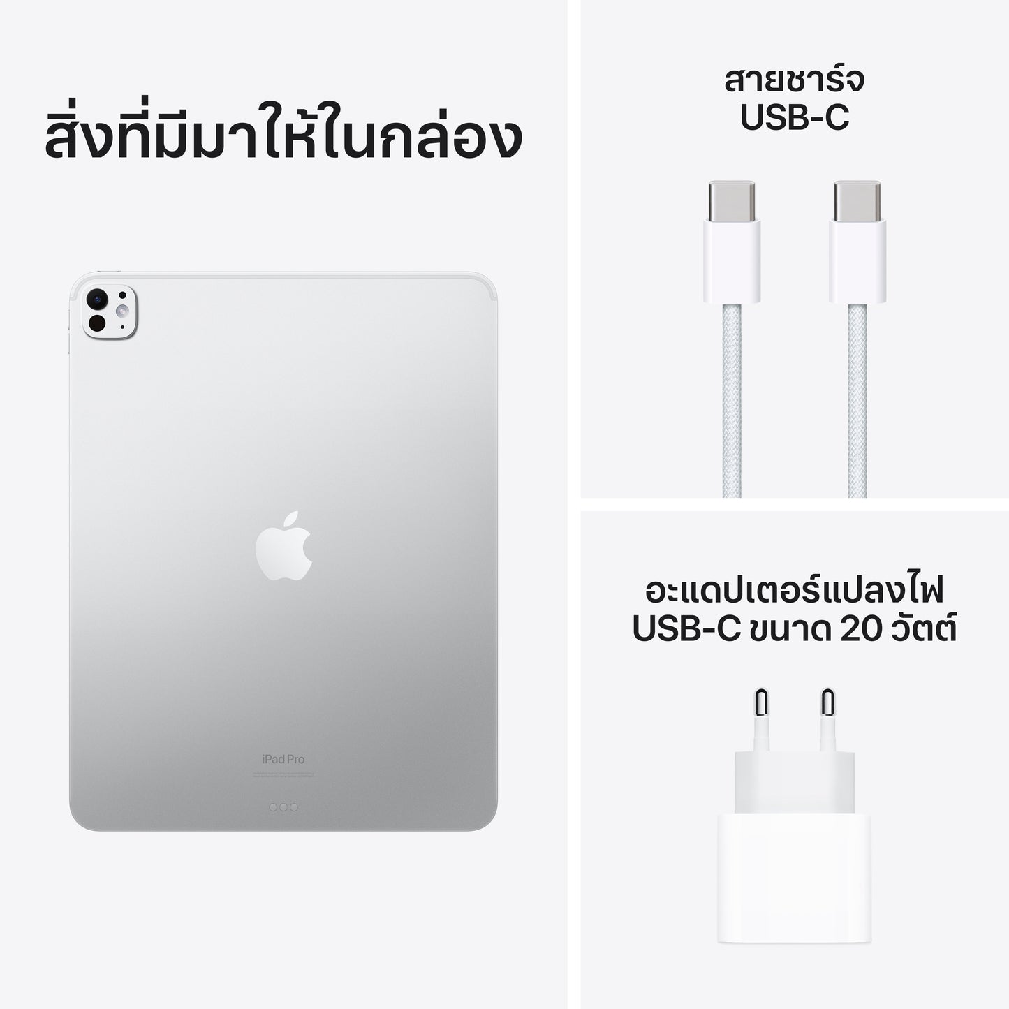 13-inch iPad Pro Wi-Fi 256GB Standard Glass - Silver (M4)